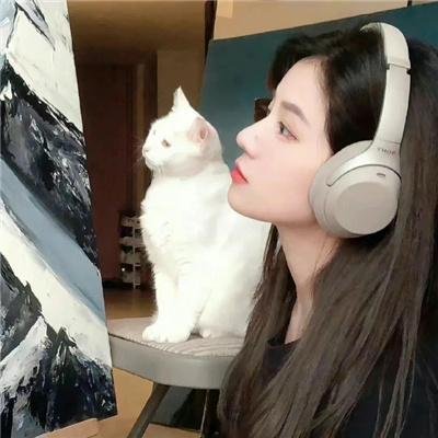 剧终集