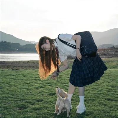 梅艳芳菲